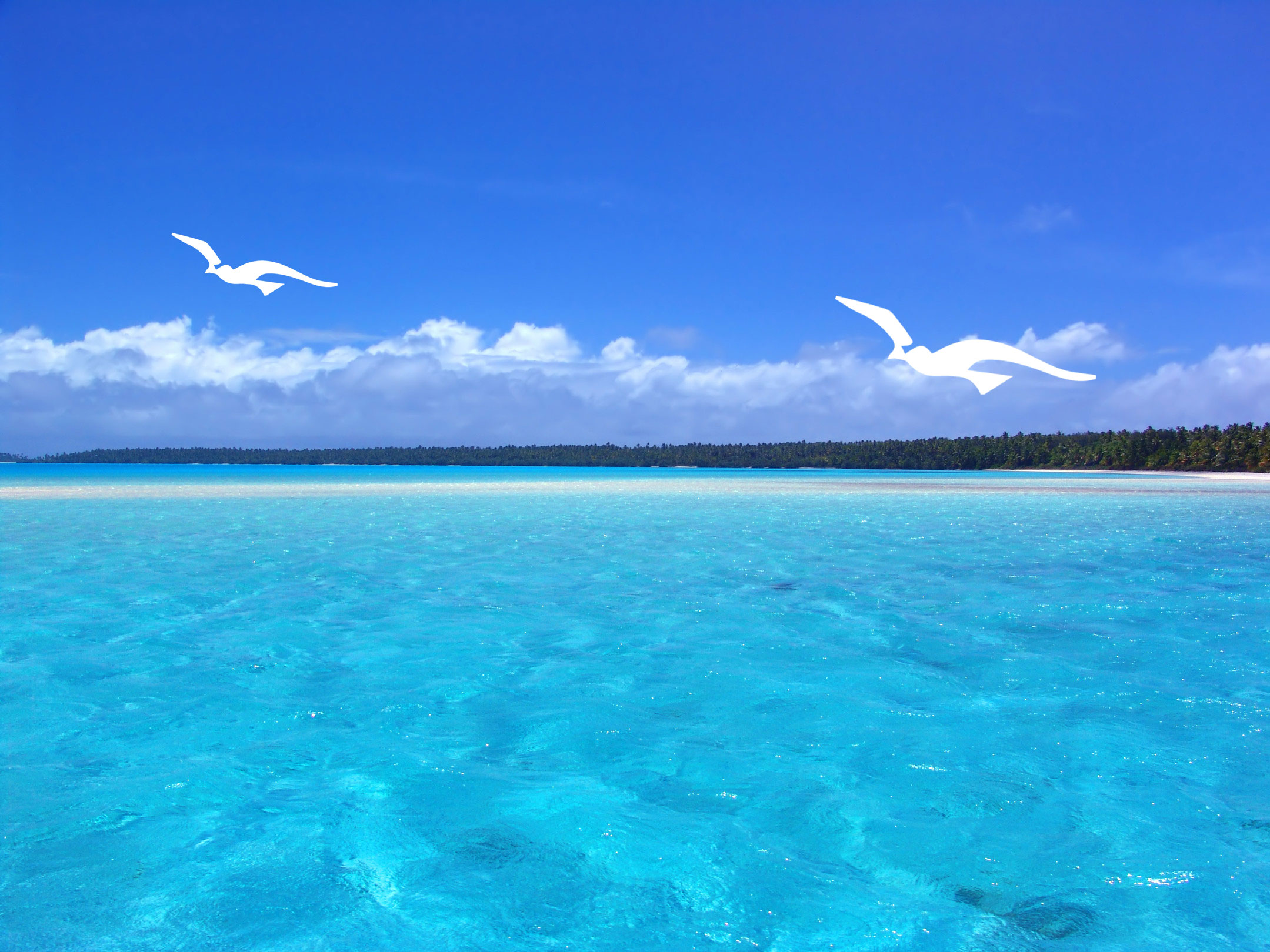 海